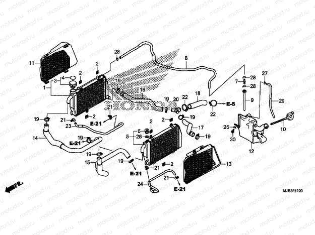 F-41 RADIATOR
