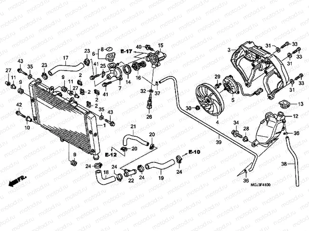 F-41 RADIATOR