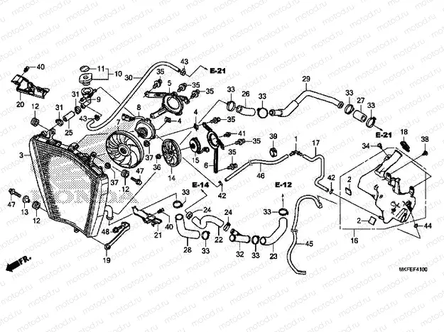 F-41 RADIATOR