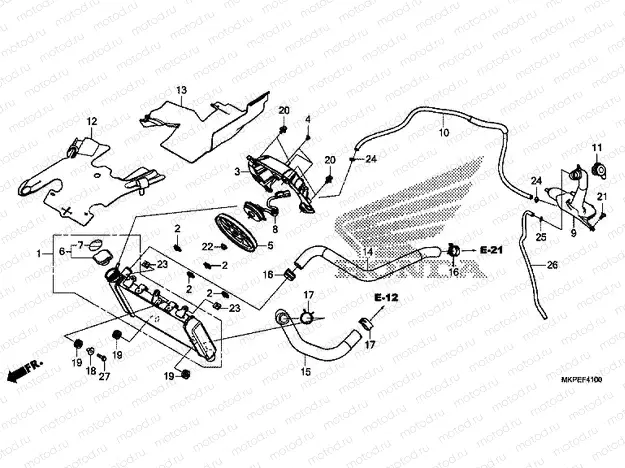 F-41 RADIATOR