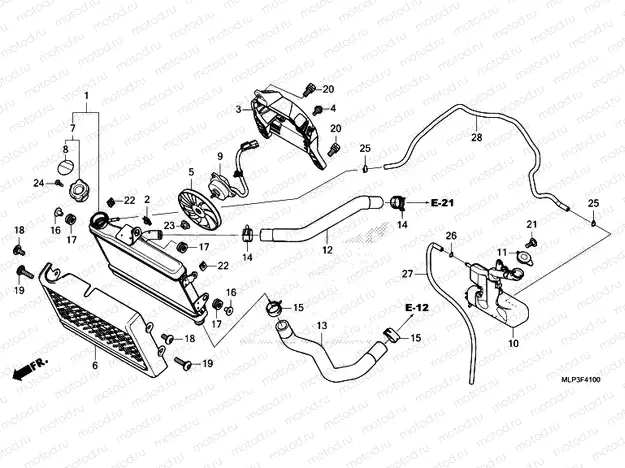 F-41 RADIATOR