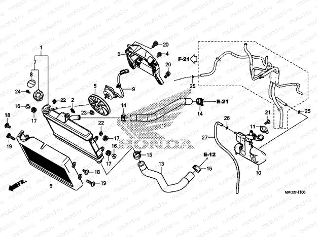 F-41 RADIATOR