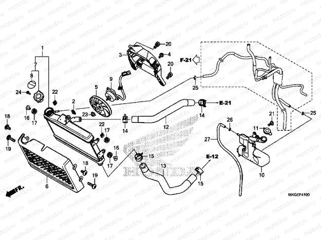 F-41 RADIATOR