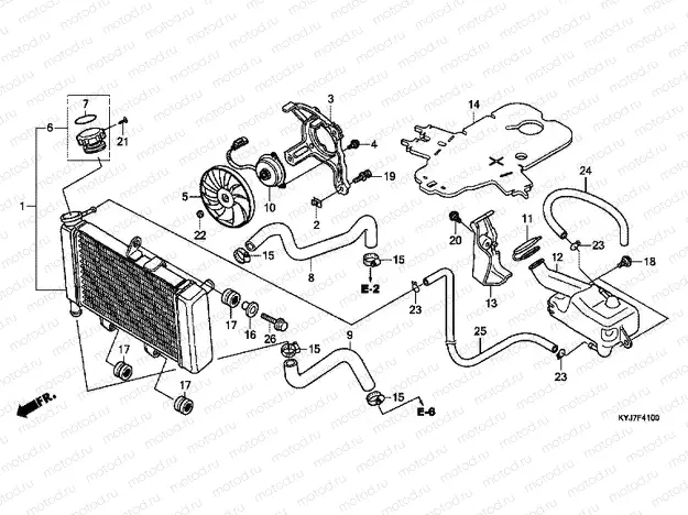 F-41 RADIATOR