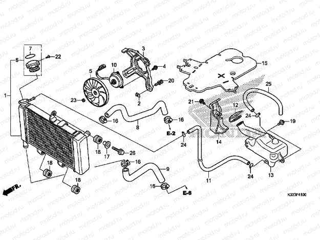 F-41 RADIATOR