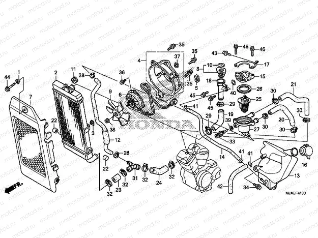 F-41 RADIATOR (VT750CS / C2B / C2S / C)