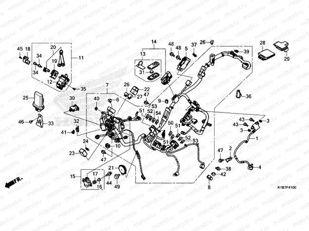 F-41 WIRE HARNESS