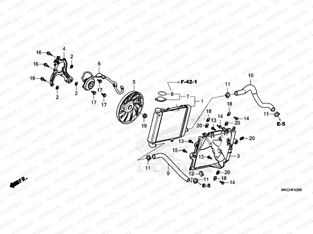 F-42 RADIATOR (R.)