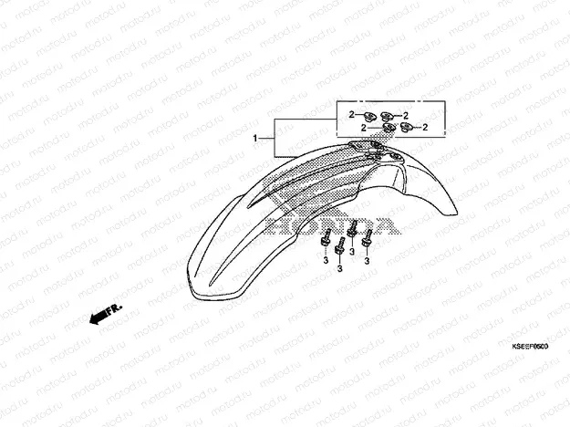 F-5 FRONT FENDER