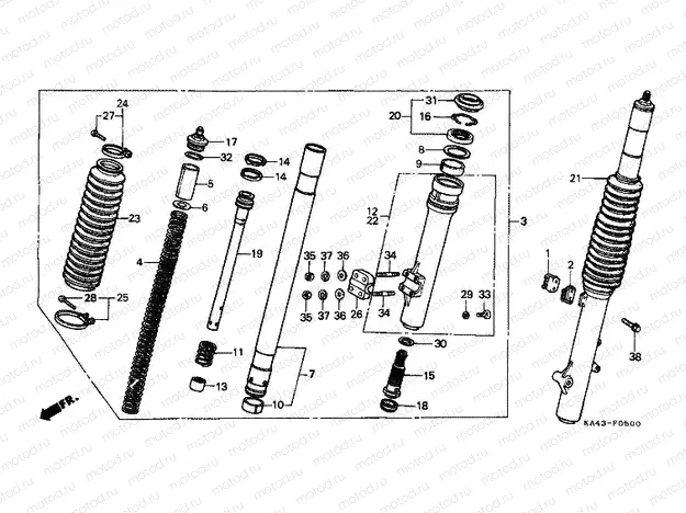 F-5 FRONT FORK (1)