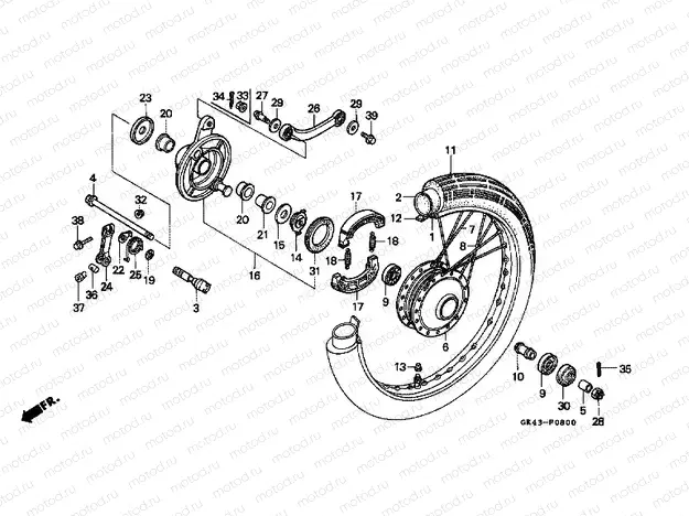 F-8 FRONT WHEEL / PANEL (C50DF / DG)