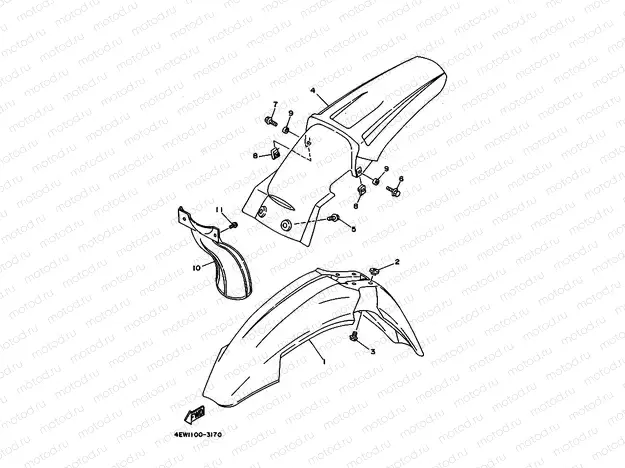 FENDER