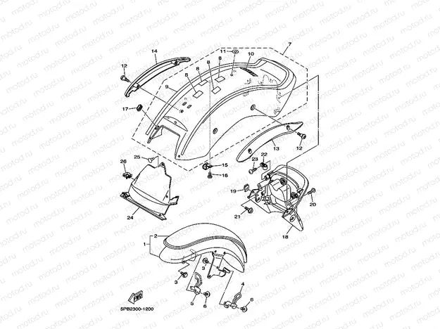 FENDER