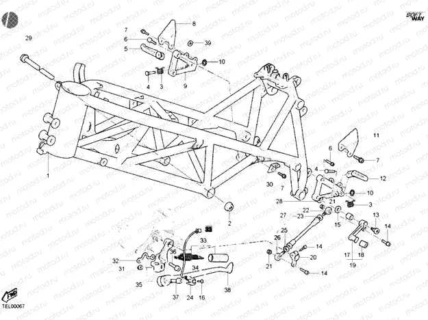 FRAME » FRAME