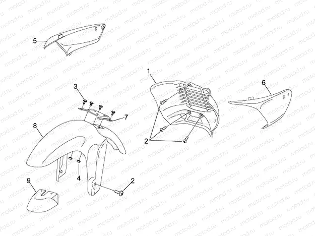 Front body II