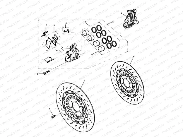 Front Brake Caliper & Discs