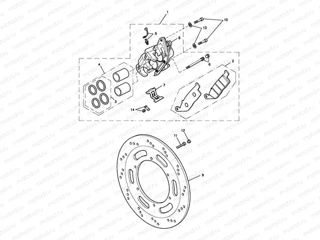 Front Brake Caliper & Discs