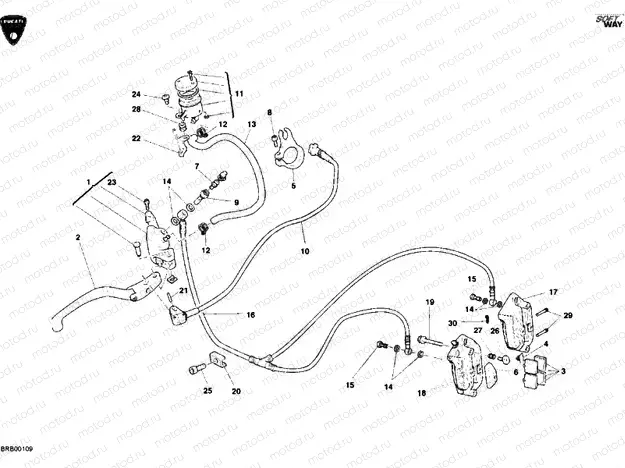 FRONT BRAKE SYSTEM » BRAKING SYSTEM