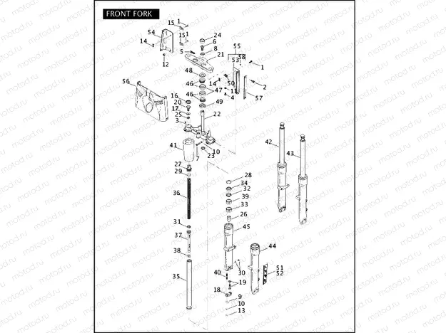 FRONT FORK (1 OF 2)