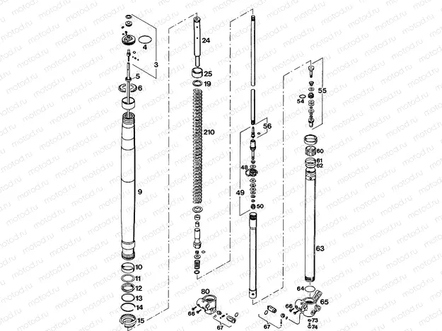 FRONT FORK DISASSEMBLED