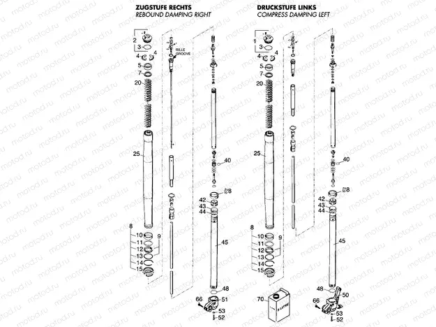 FRONT FORK DISASSEMBLED