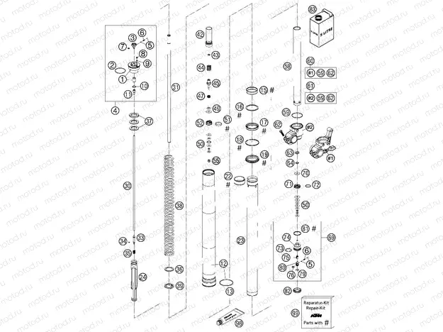 FRONT FORK DISASSEMBLED