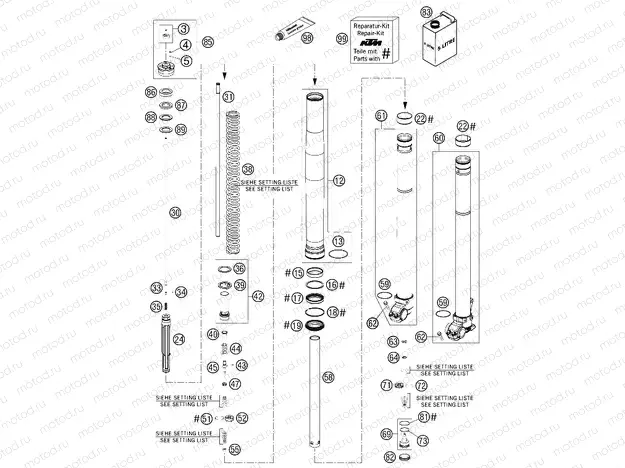 FRONT FORK DISASSEMBLED
