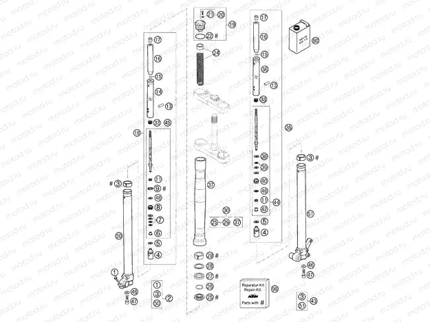 FRONT FORK DISASSEMBLED