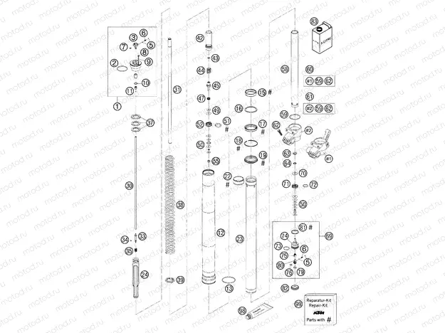 FRONT FORK DISASSEMBLED