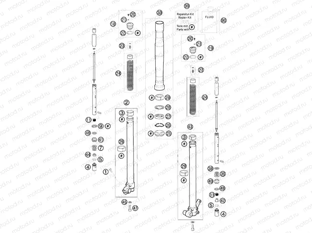 FRONT FORK DISASSEMBLED