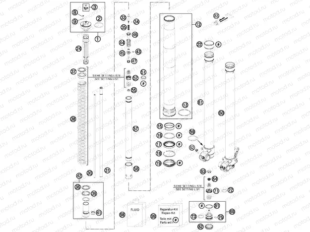 FRONT FORK DISASSEMBLED