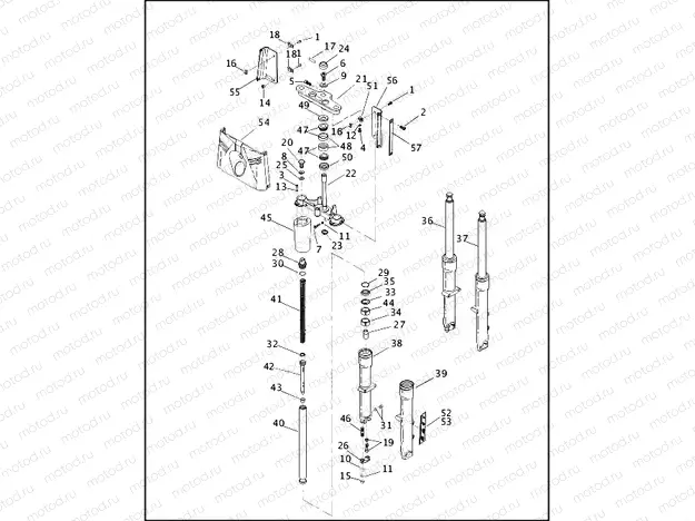 FRONT FORK - FLSTC/I & FLSTF/I (1 OF 2)