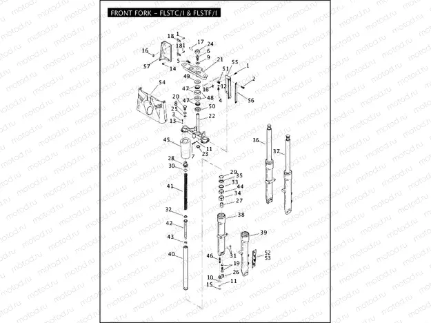 FRONT FORK - FLSTC/I & FLSTF/I (1 OF 2)