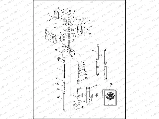 FRONT FORK - FLSTC/I & FLSTF/I (2 OF 2)