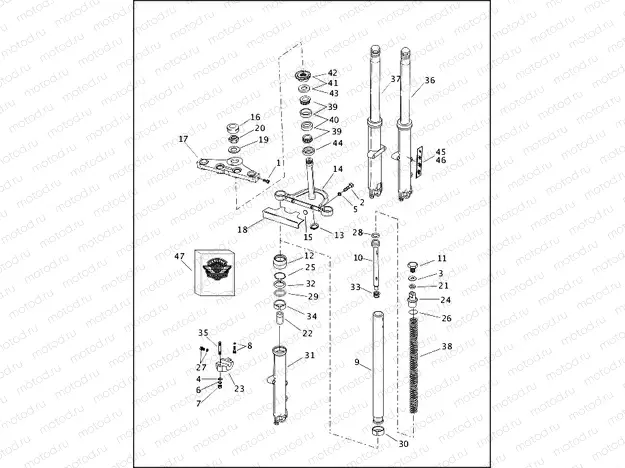 FRONT FORK - FXST & FXSTB