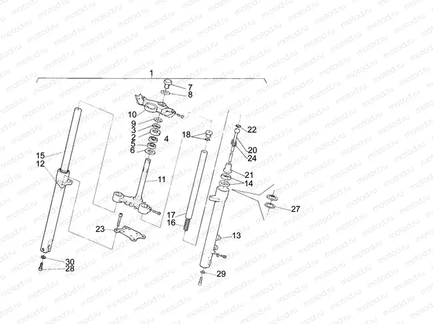 Front fork N