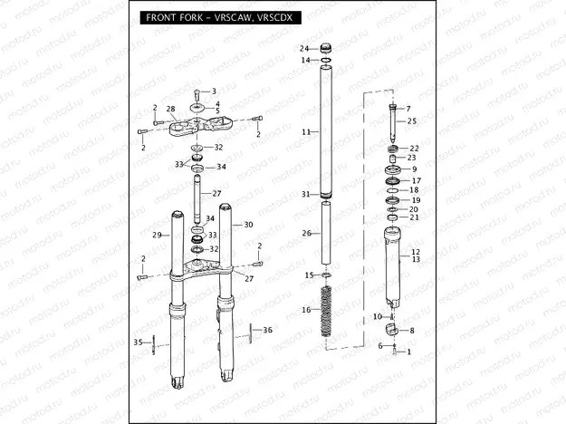 FRONT FORK - VRSCAW, VRSCDX