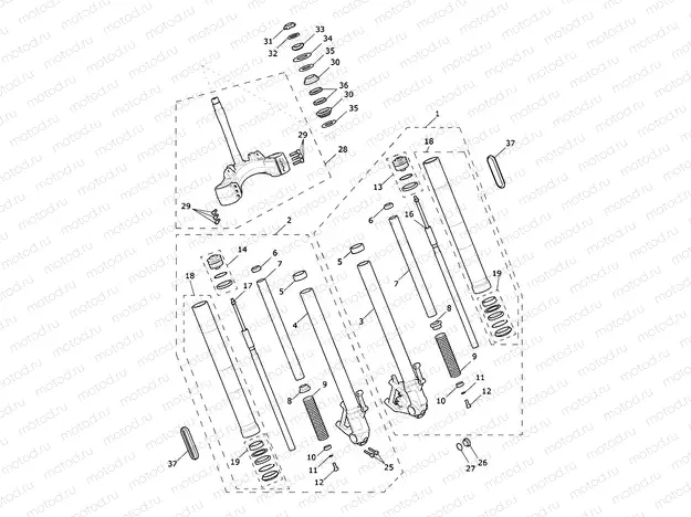 Front Forks & Lower Yoke