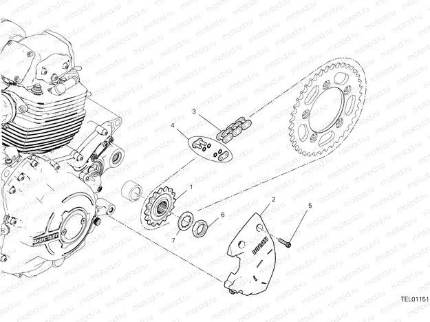 FRONT SPROCKET - CHAIN