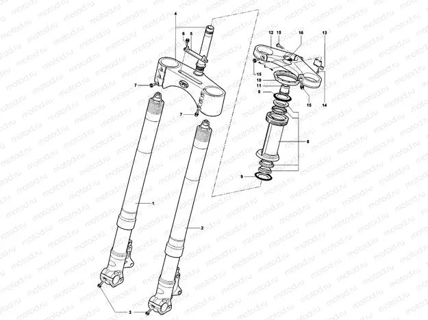Front Suspension Assembly