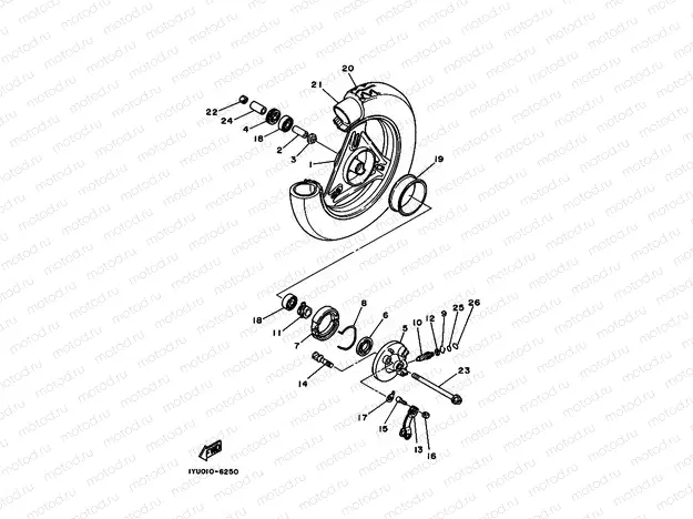 Front wheel