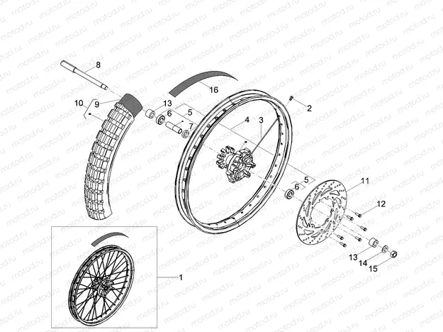 Front wheel