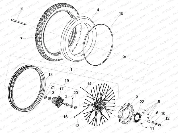 Front wheel