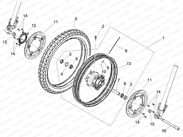 Front wheel