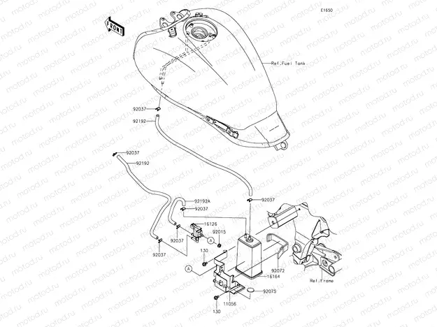 Fuel Evaporative System