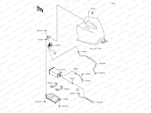 Fuel Evaporative System
