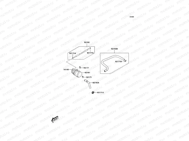 Fuel Evaporative System