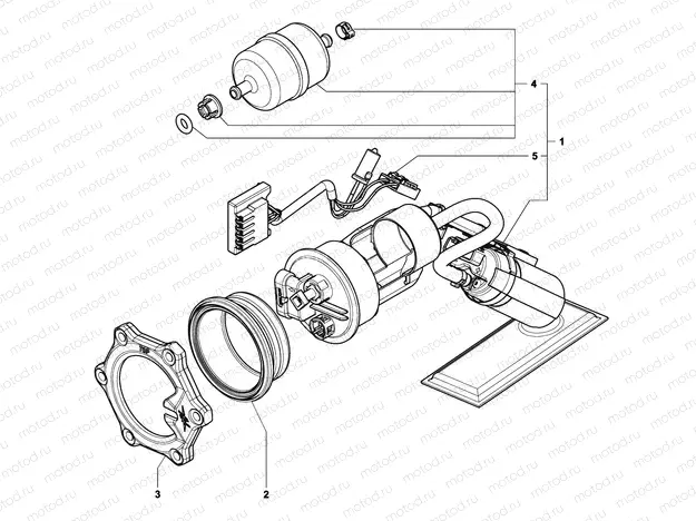 Fuel Pump Assembly