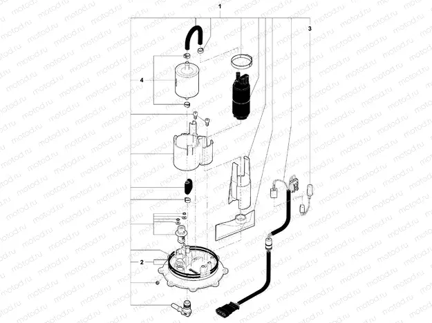 Fuel Pump Assembly