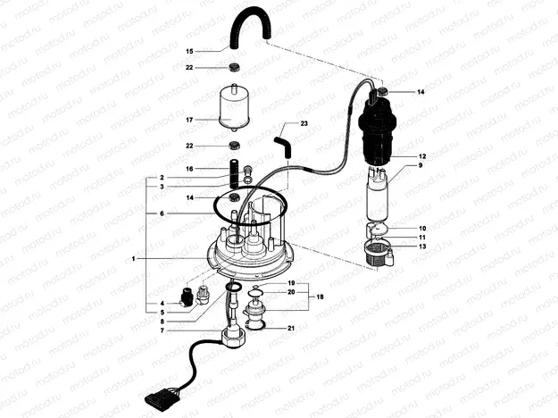 Fuel Pump Assembly